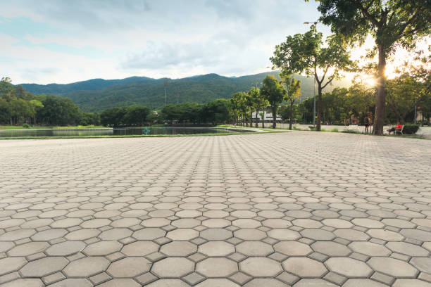 Best Best Driveway Pavers  in Osakis, MN