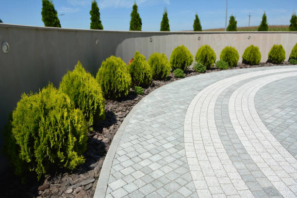 Best Local Driveway Pavers  in Osakis, MN